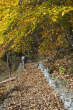 20091030_095323 Mulattiera presso l'Alpe Gualdo.jpg